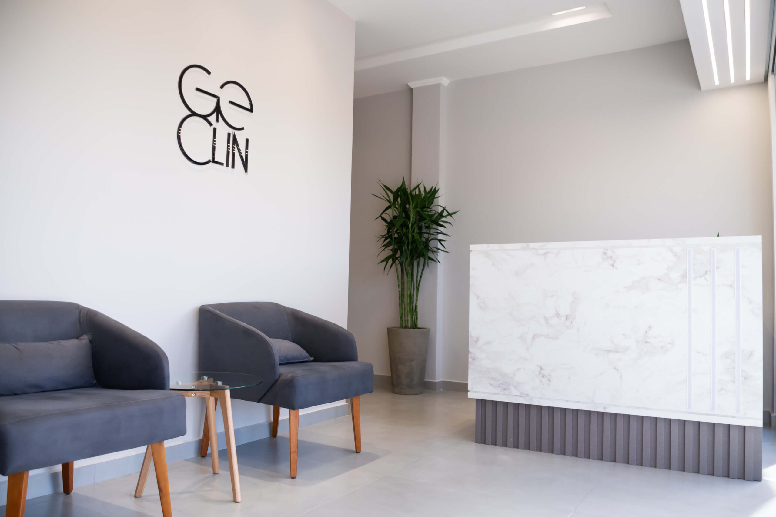 Estrutura_Geclin_1